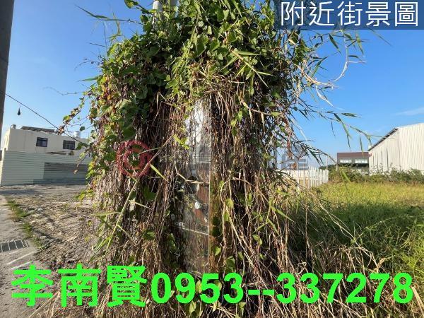 台南農地-6