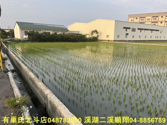 彰化農地-1