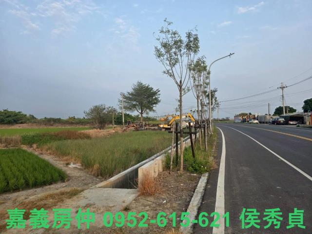 嘉義民雄農地-9