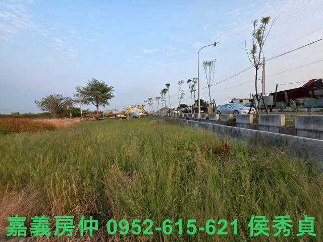 嘉義民雄農地-10