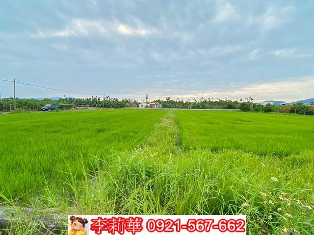 高雄美濃農地-11
