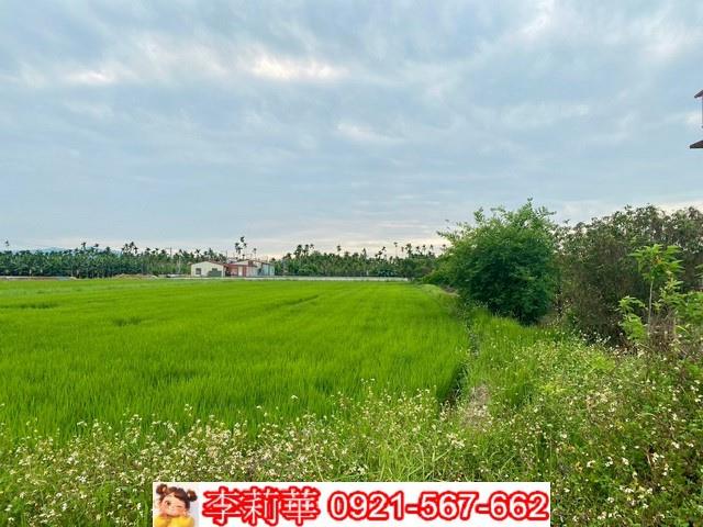 高雄美濃農地-12