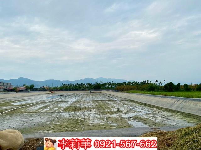高雄美濃農地-8