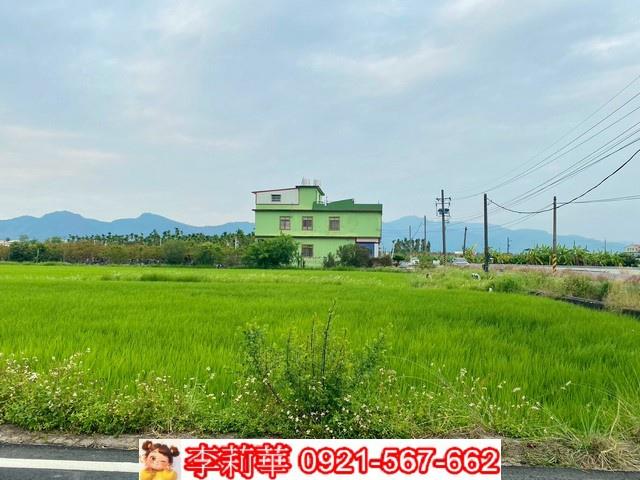 高雄美濃農地-9