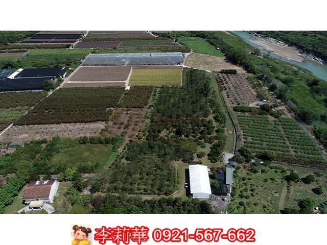 台南玉井農地-4