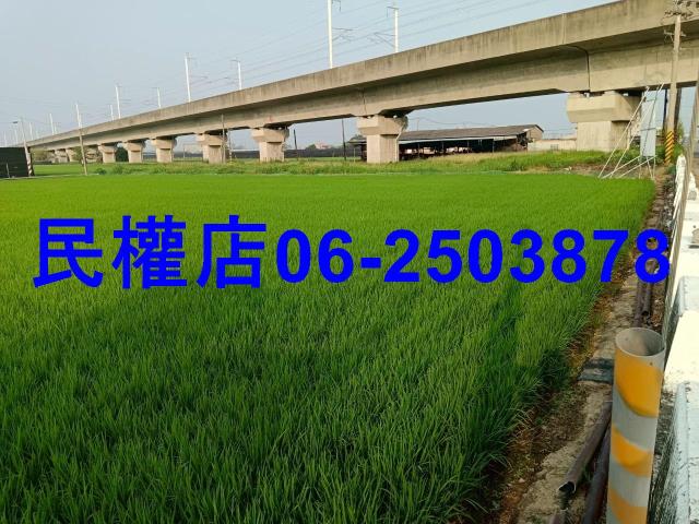 台南六甲農地-10