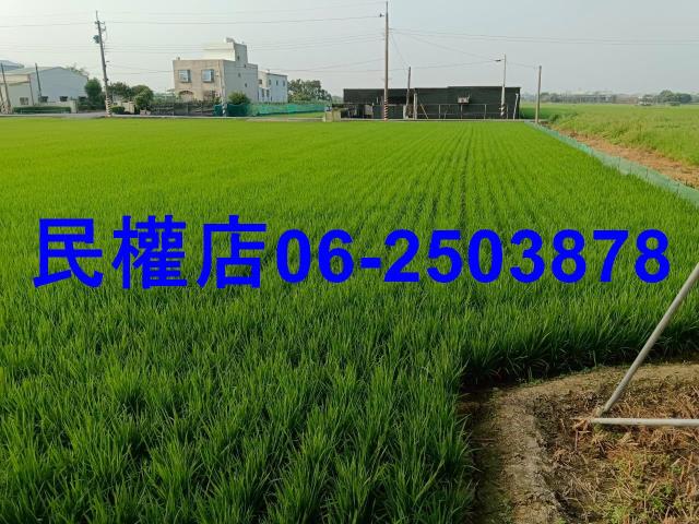台南六甲農地-8