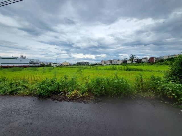 仁武農地-1