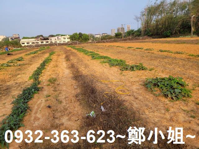 中壢農地-5