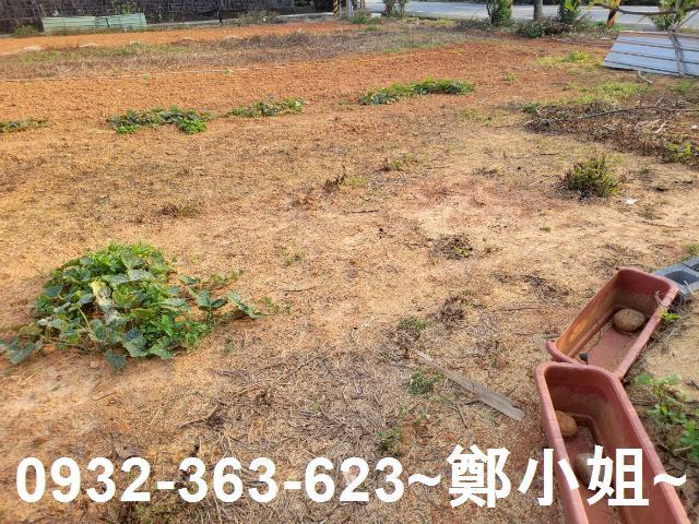中壢農地-6