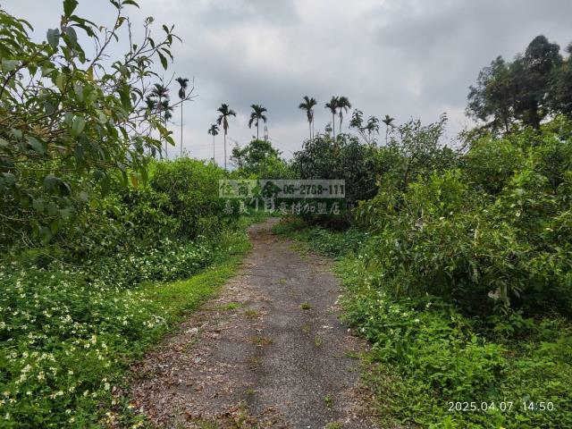 番路農地-5