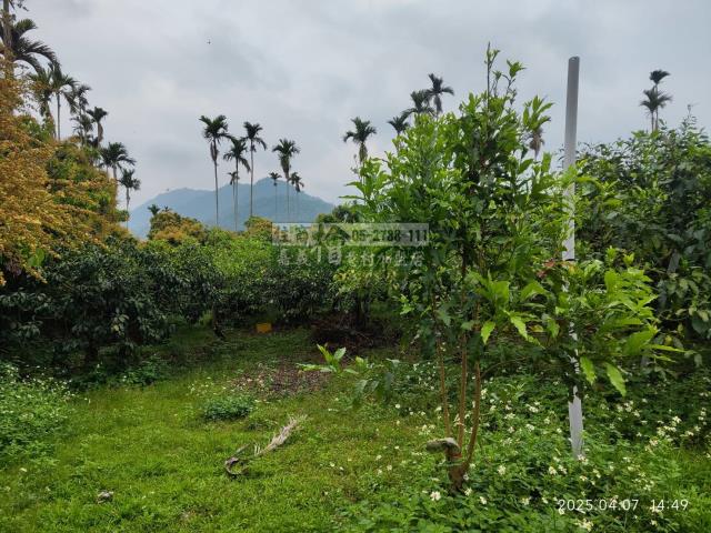 番路農地-9