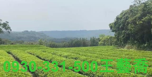 龍潭農地-2