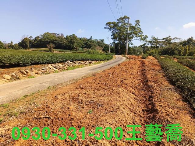 龍潭農地-7