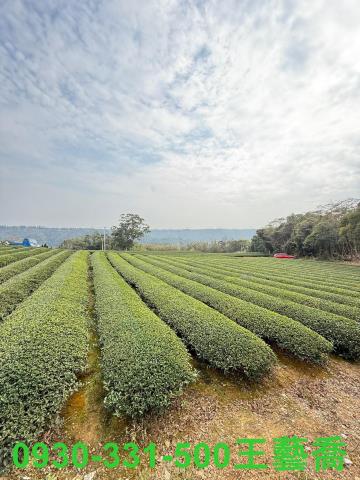龍潭農地-8
