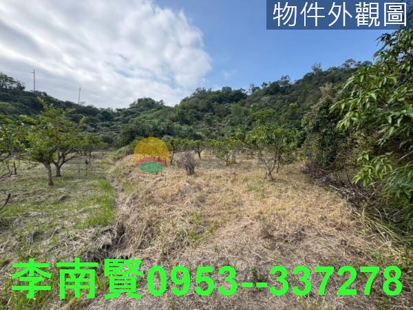 台南玉井山坡地-2