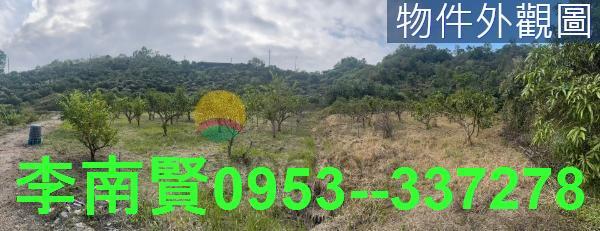 台南玉井山坡地-3