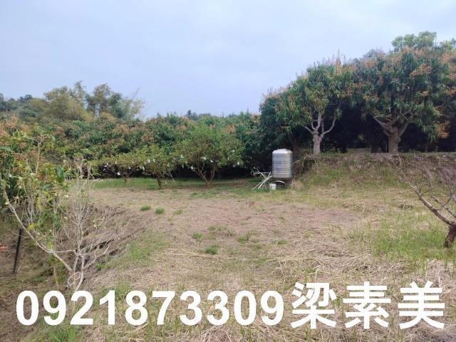 田寮農地-1
