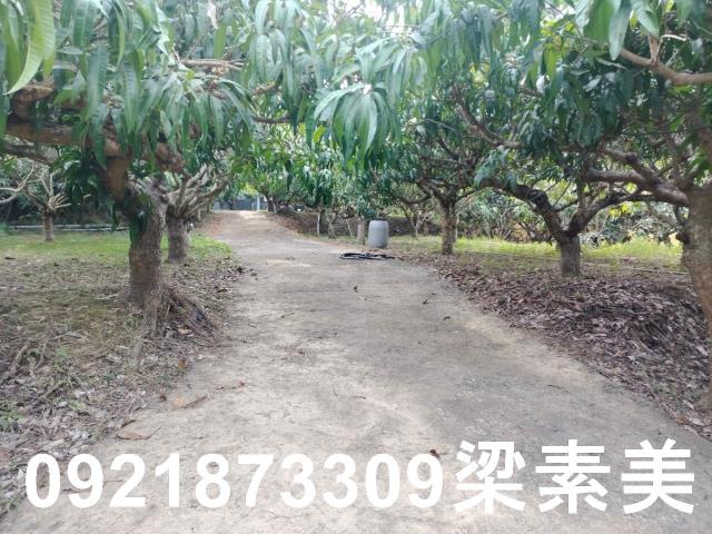 田寮農地-4