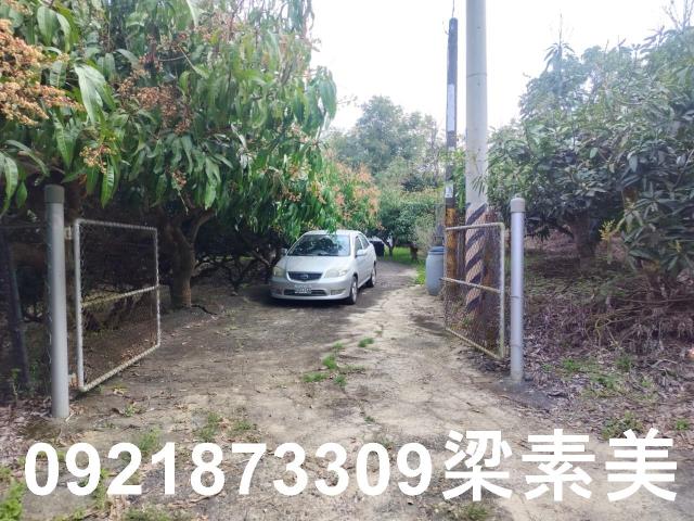 田寮農地-6