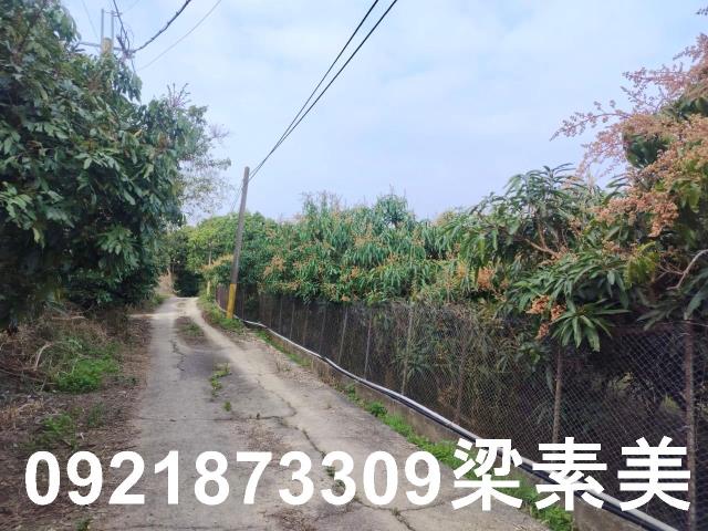 田寮農地-8