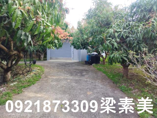 田寮農地-9