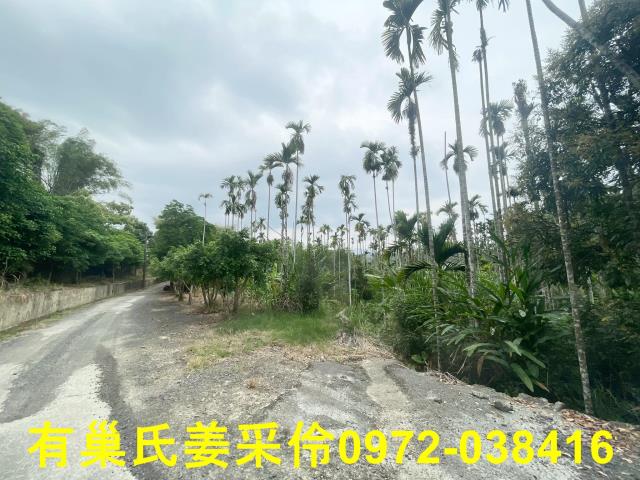 嘉義農地-11