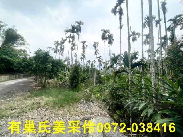 嘉義農地-6