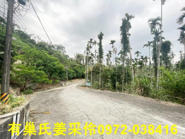 嘉義農地-9