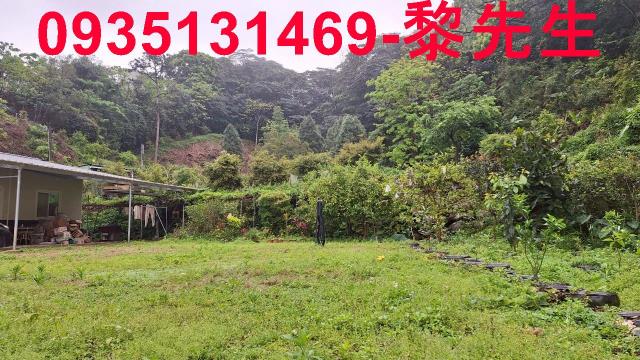 苗栗農地-12
