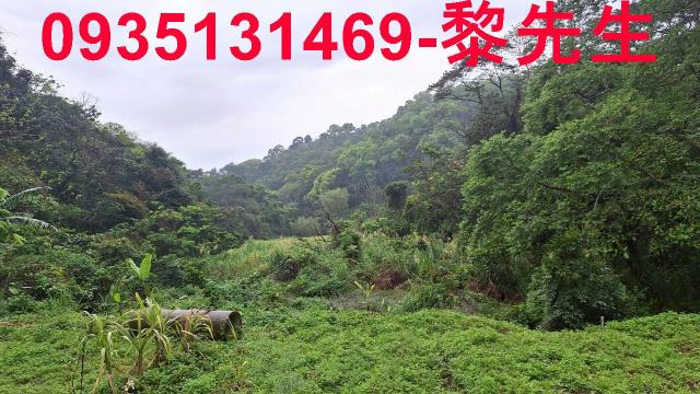 苗栗農地-13