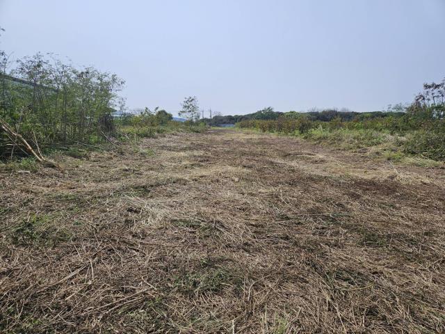 清水農地-7