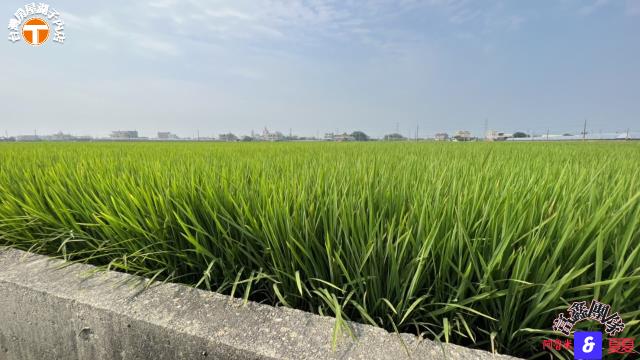 溪口農地-3