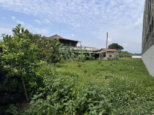 水上建地-4