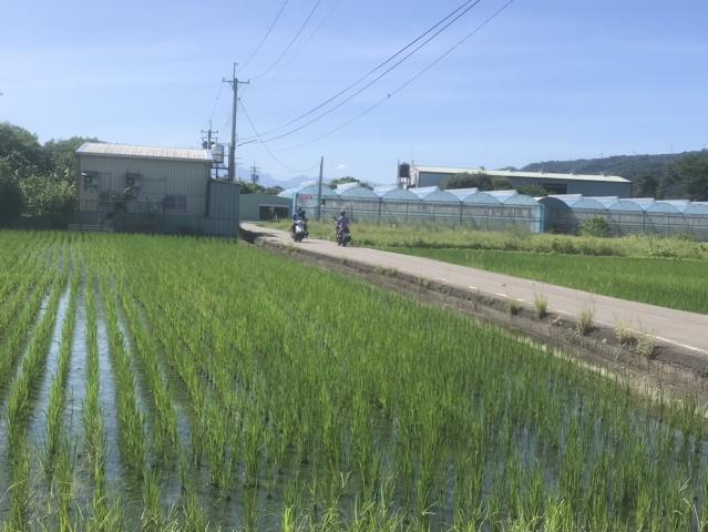 芬園農地-11