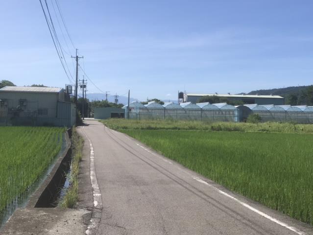 芬園農地-12