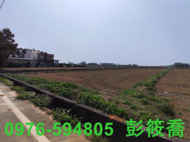 新屋農地-5