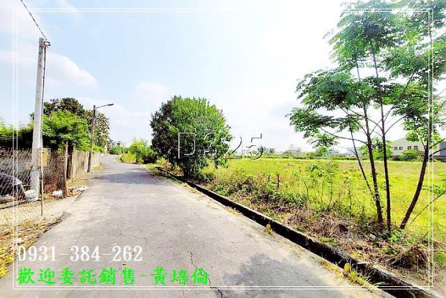591黃培倫591