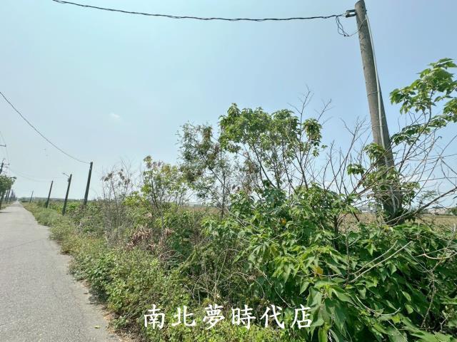 台南農地-5