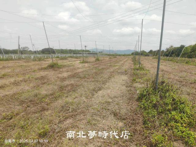 台南農地-1