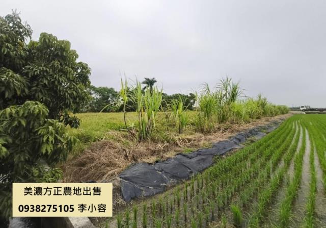 高雄美濃農地-2