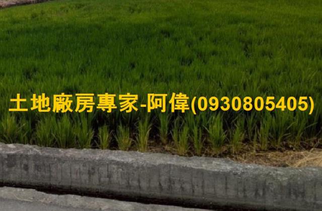 高雄大寮農地-1
