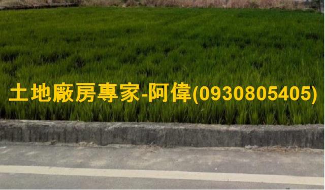 高雄大寮農地-1