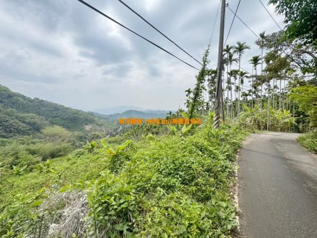 南投中寮山坡地-1