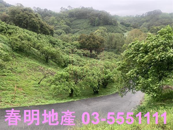 新竹峨眉農地-4