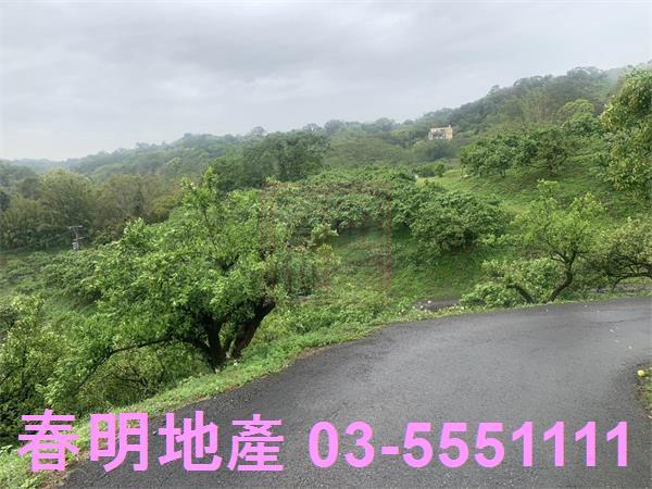 新竹峨眉農地-7