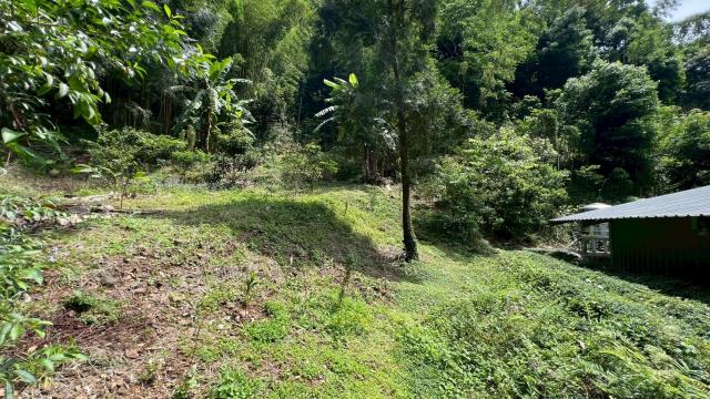 新竹橫山山坡地-12