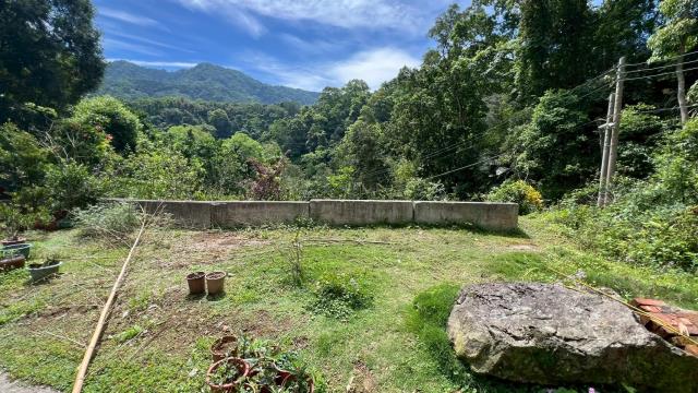 新竹橫山山坡地-4