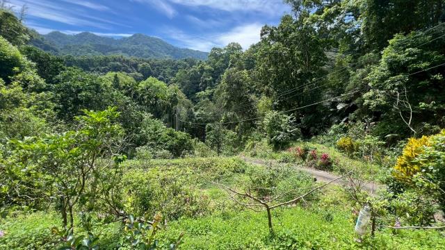 新竹橫山山坡地-5
