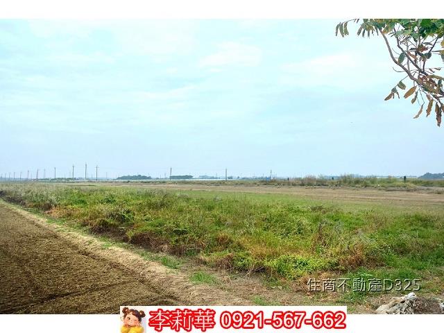 台南後壁農地-8